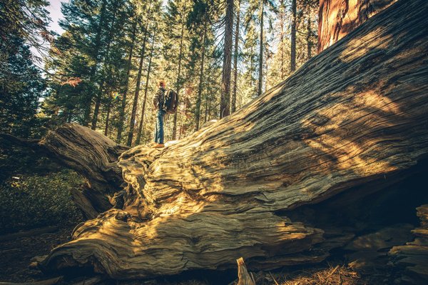 Comment explorer les temples cachés de l'Indonésie hors des sentiers battus ?