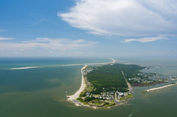 Quelle croisière offre des excursions pour observer les dauphins roses en Amazonie?